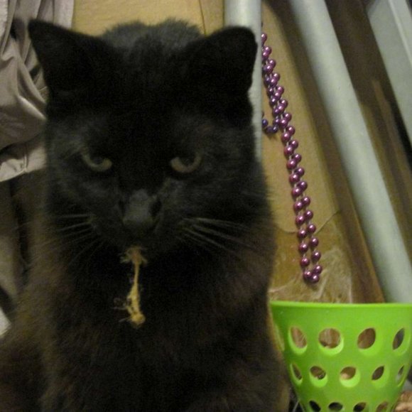 * Welcome to my Closet. Please Read! *  ~ Meet your Posher, Gina - Picture 6 of 16